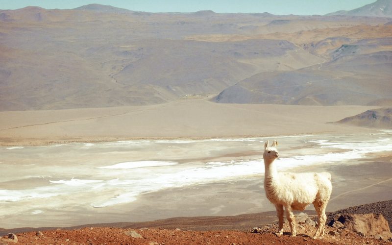 Perlas de Catamarca