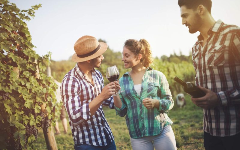 Ruta del Vino en Mendoza y Spa en Termas de Cacheuta