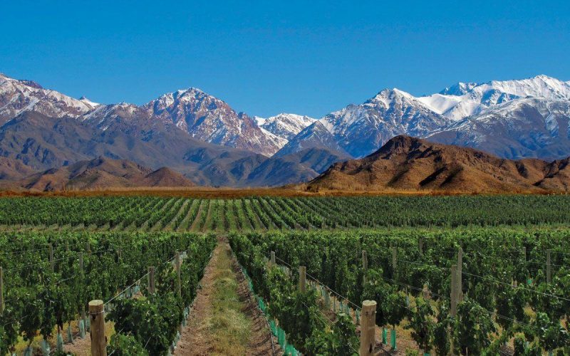 Mendoza y Termas de Cacheuta en Bus