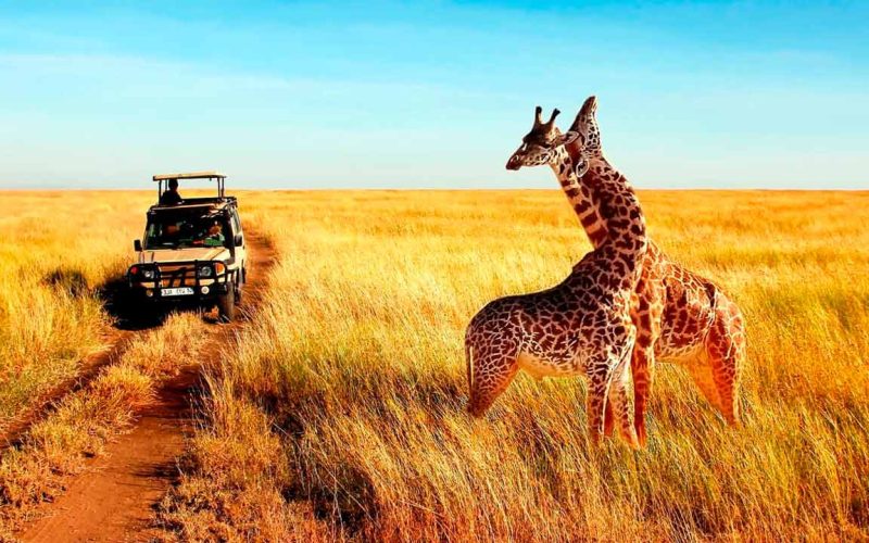 Paquete a Kenya y Tanzania con Zanzibar