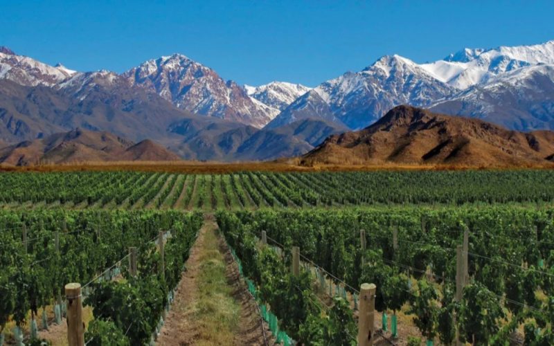 San Juan bajo las Estrellas con Ruta del Vino - Salida Grupal Acompañada