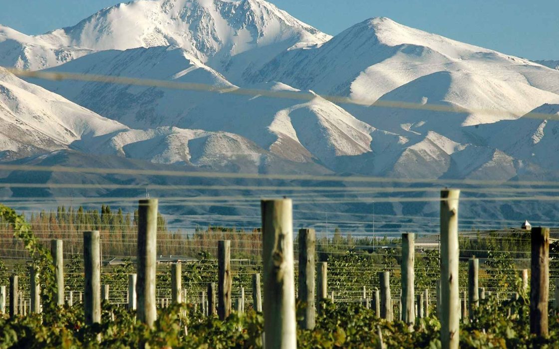 Vacaciones en Mendoza