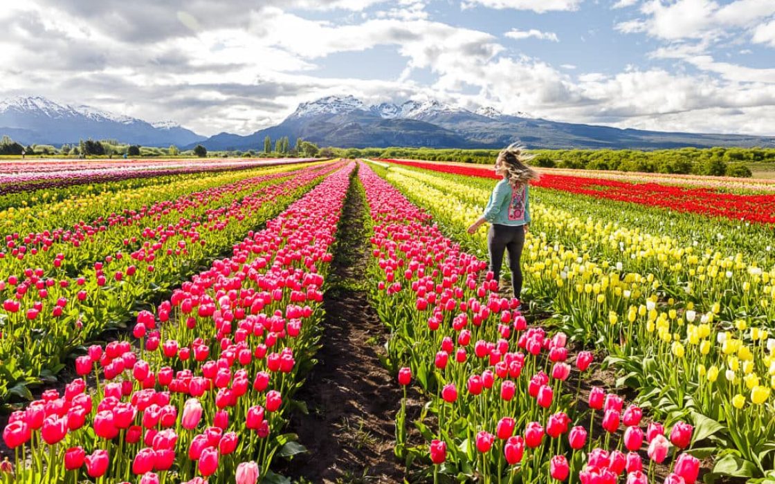 Tulipanes, Trevelin y Puerto Madryn - Salida Grupal