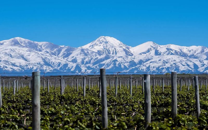 Caminos del Vino en Mendoza