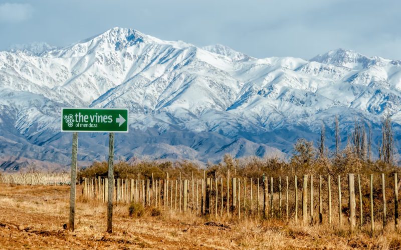 Tunuyán, Vinos y Cordillera