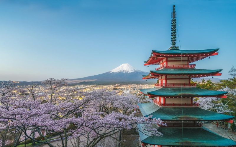 Fantasías de Japón con Floración de Cerezos - Salida Grupal Acompañada