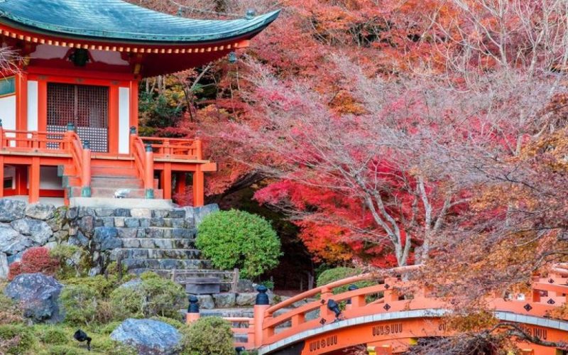 China y Japón - Salida Grupal Acompañada