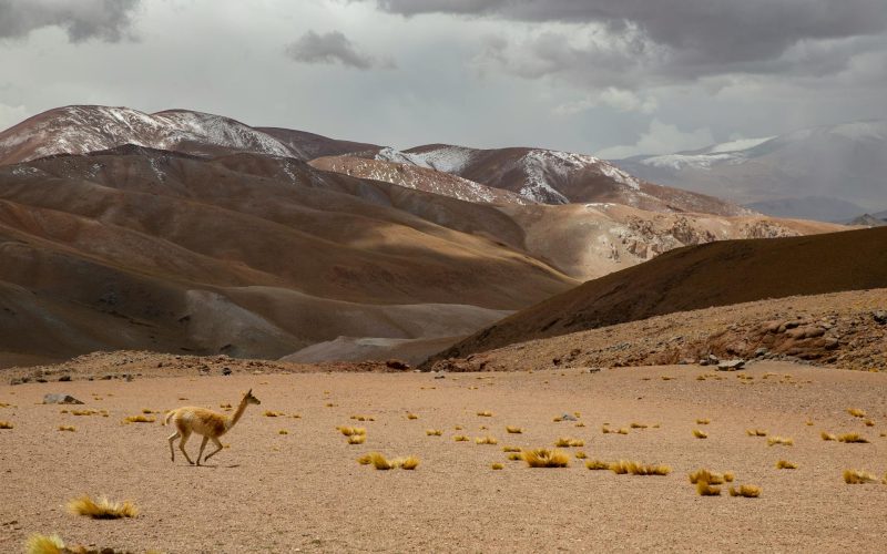 Catamarca Espléndida - Salida Grupal