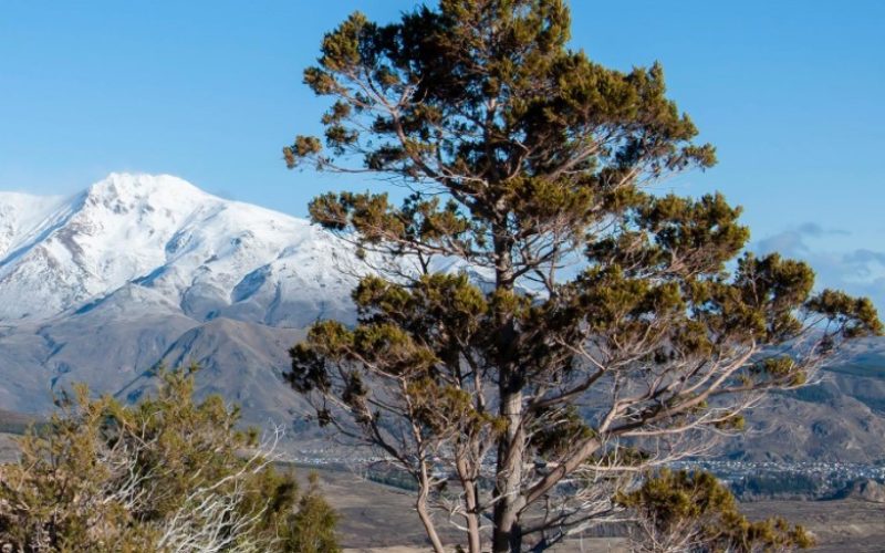 Paquete a Esquel en Bus