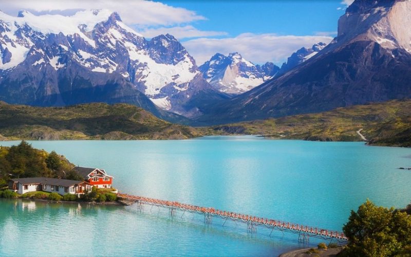 Calafate y Puerto Natales