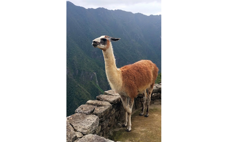 Perú Total - Salida Grupal