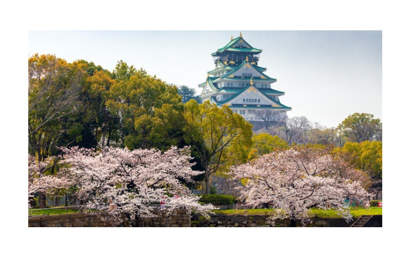 Fantasías de Japón con Floración de Cerezos - Salida Grupal Acompañada