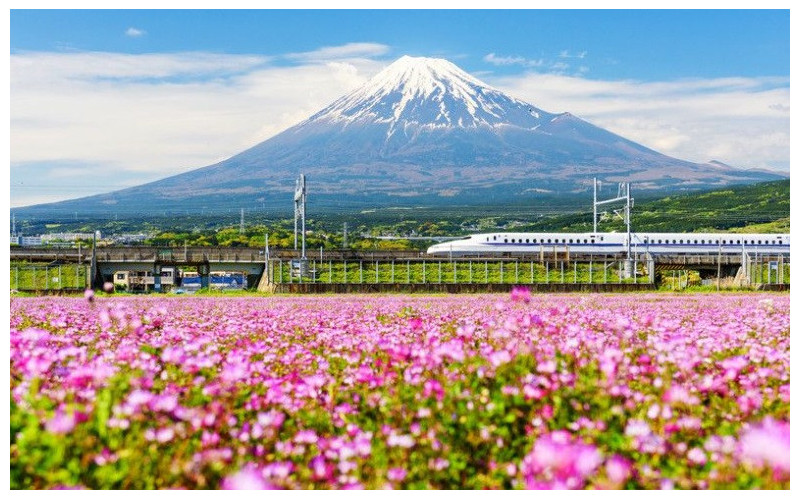 Fantasías de Japón con Floración de Cerezos - Salida Grupal Acompañada