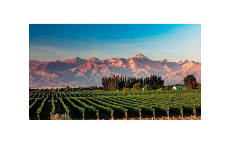 Mendoza en Bus - Salida Grupal