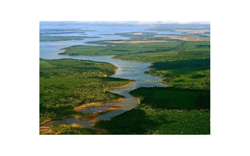 Programa Sapucay del Iberá