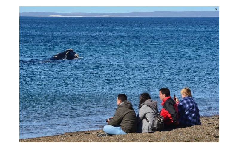 Puerto Madryn y Ushuaia