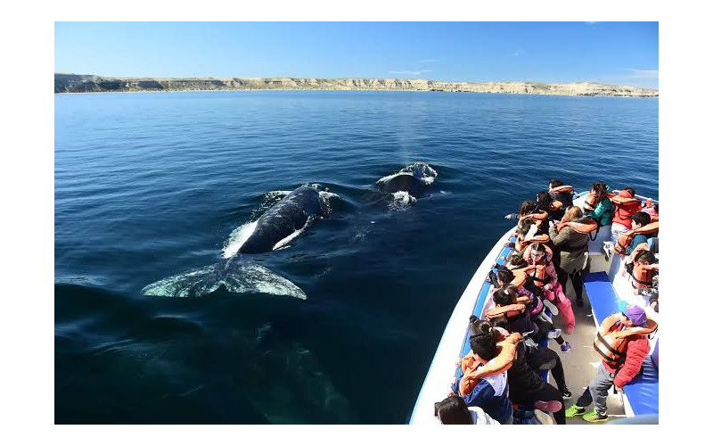 Puerto Madryn y Ushuaia