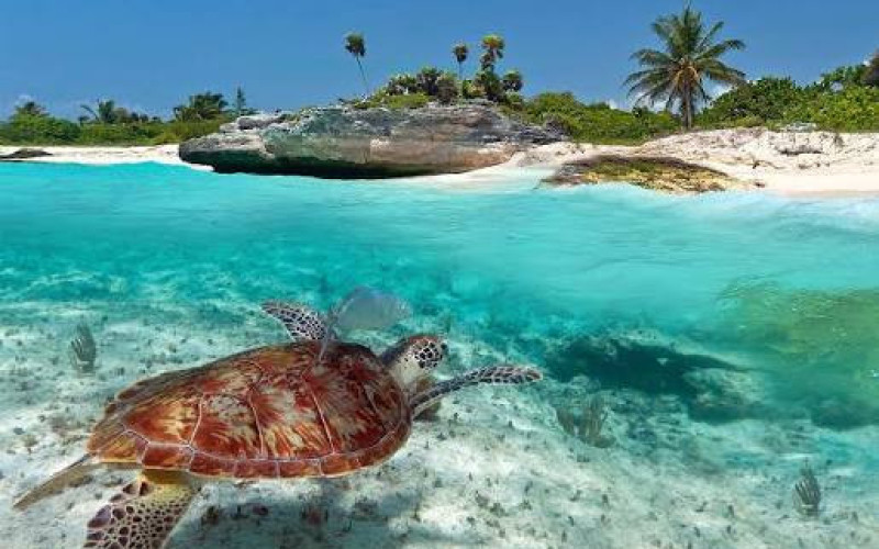 Cancún y Playa del Carmen - Salida Grupal Acompañada