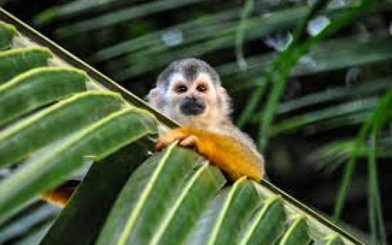 Costa Rica Fabulosa - Salida Grupal Acompañada