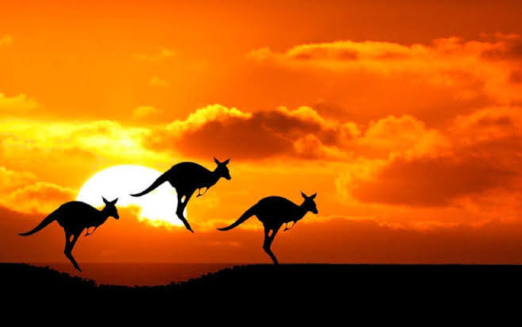 Nueva Zelanda y Australia