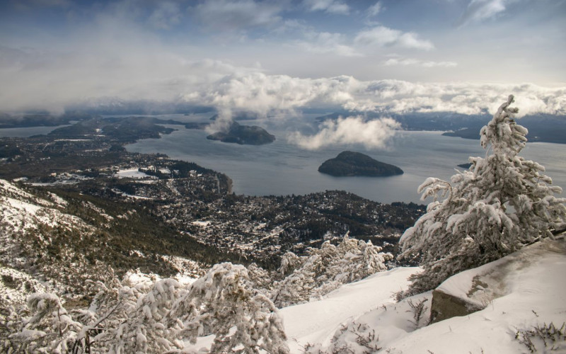 Patagonia Austral y Bosques Andinos