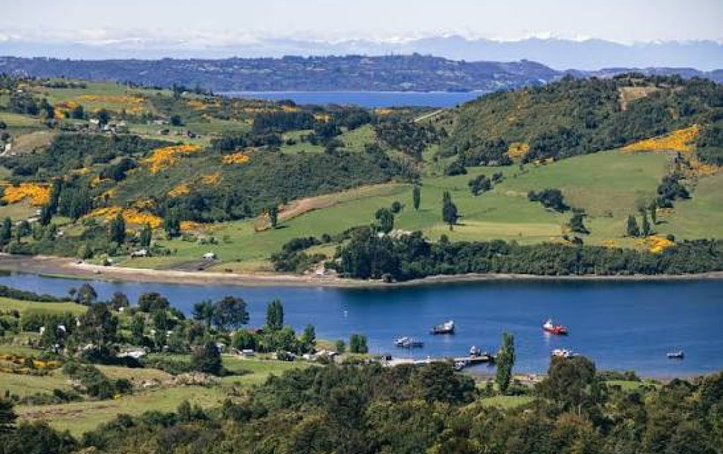 Patagonia Argentina y Chilena - Programa Completo