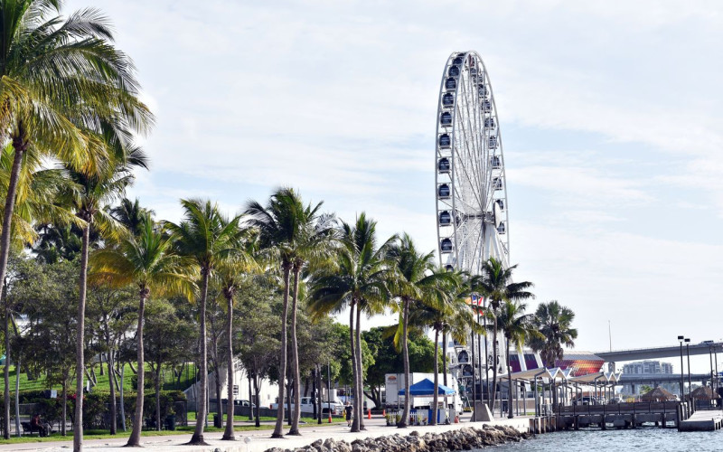 Paquete Ellas a Miami