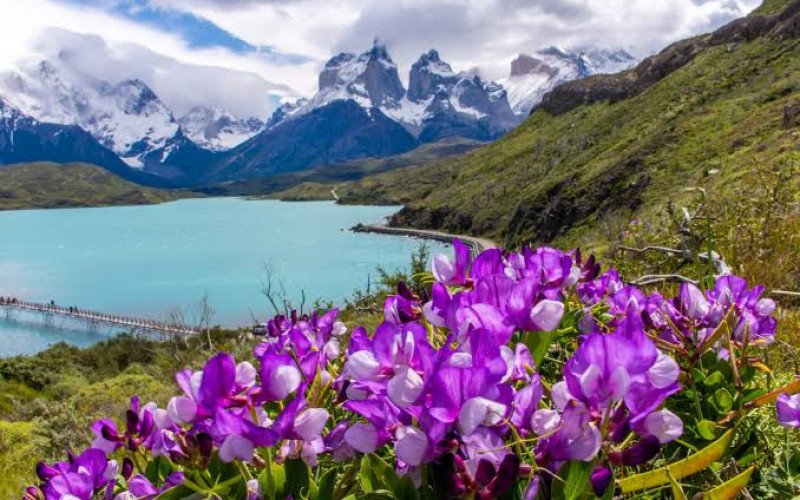 El Calafate & Torres del Paine