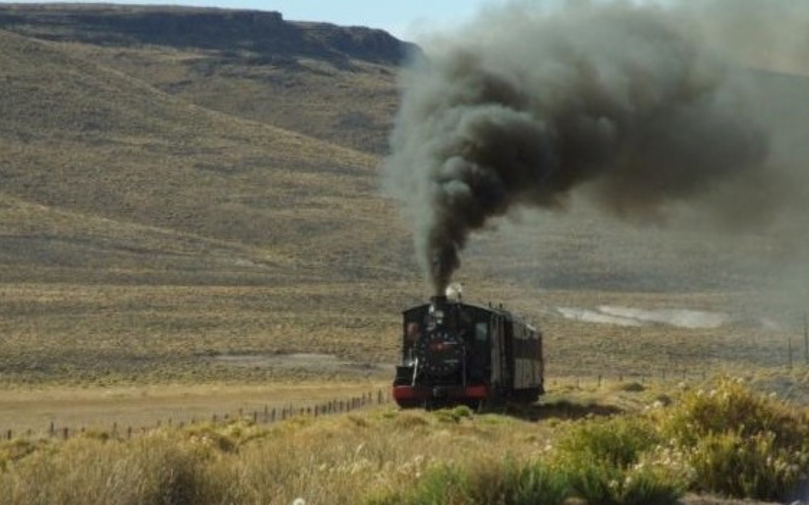 Trenes y Cruceros