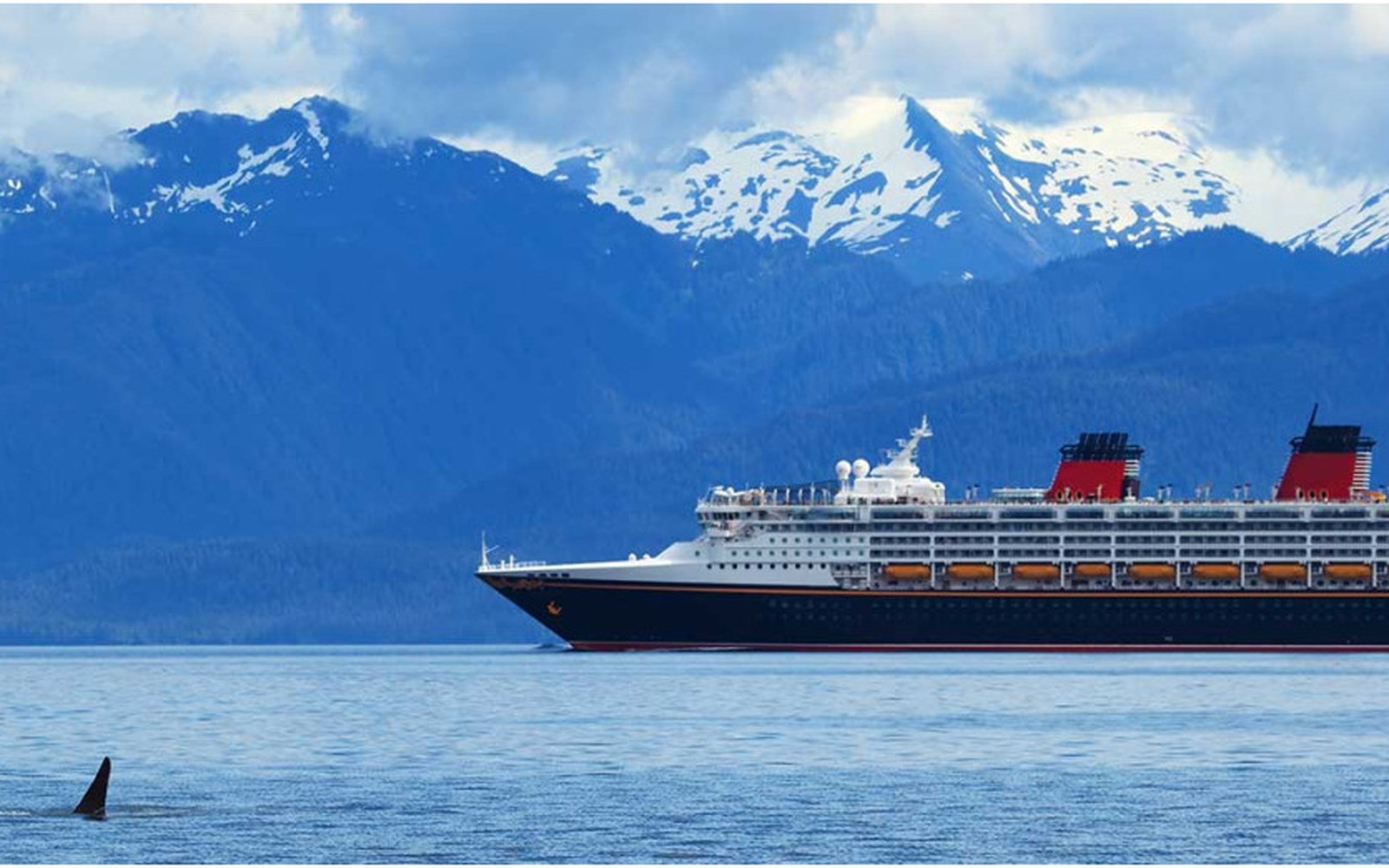 Cruceros