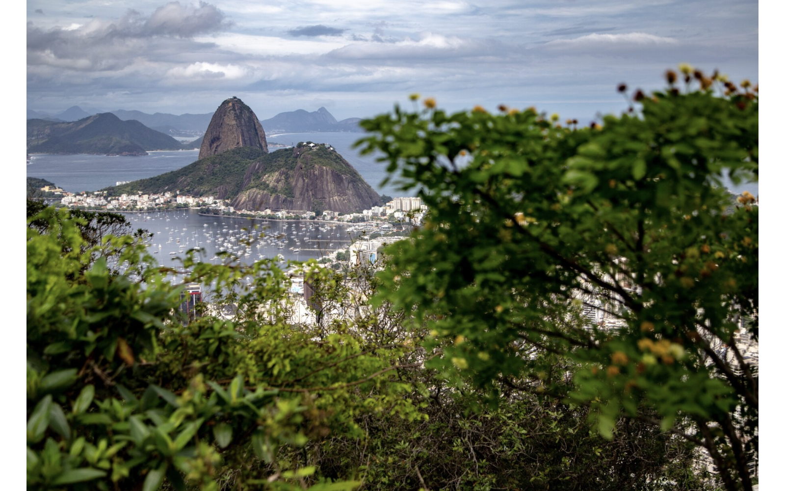 Sudamérica y Brasil