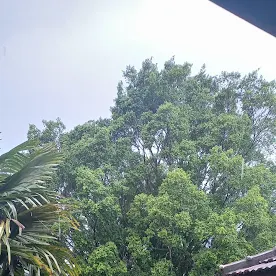 Foto de viaje de VERONICA LOPEZ