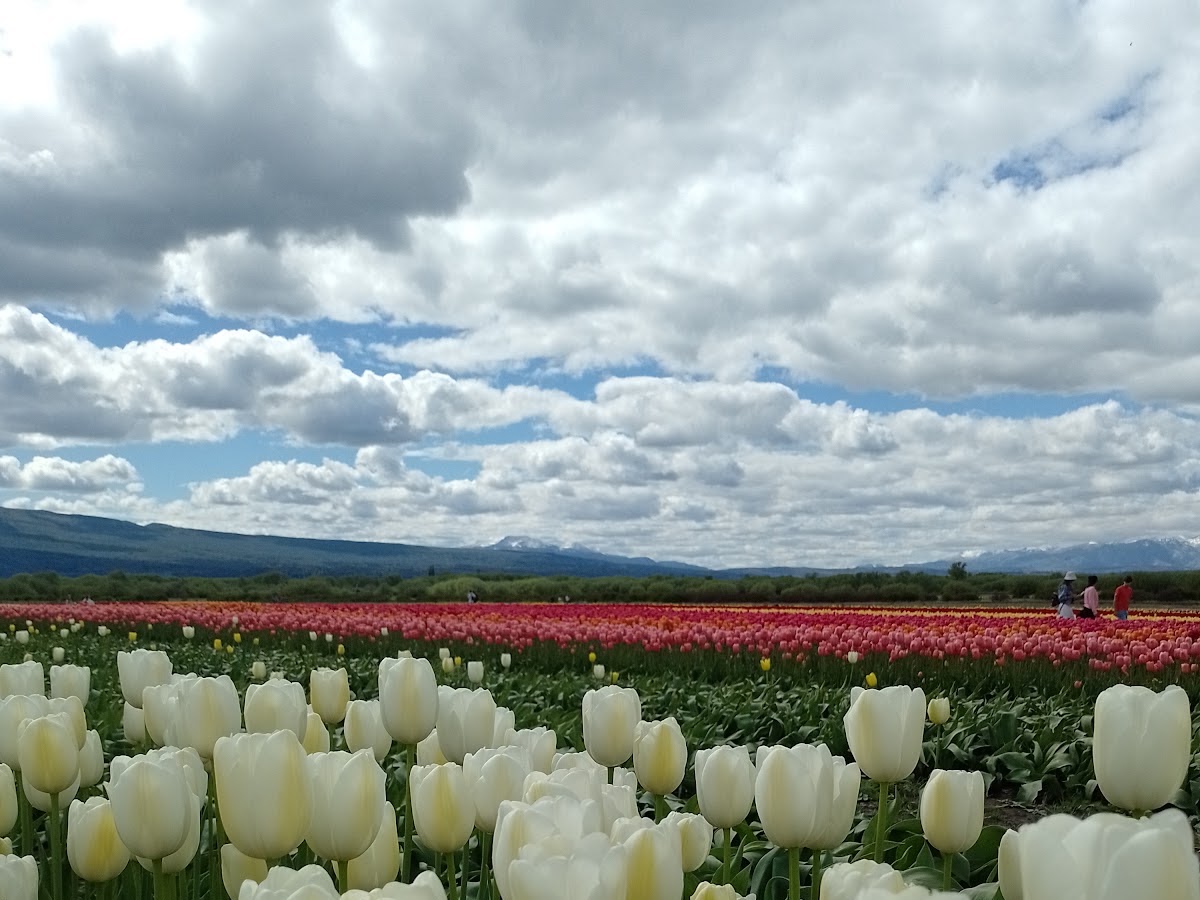 Foto compartida por Adriana Crespin