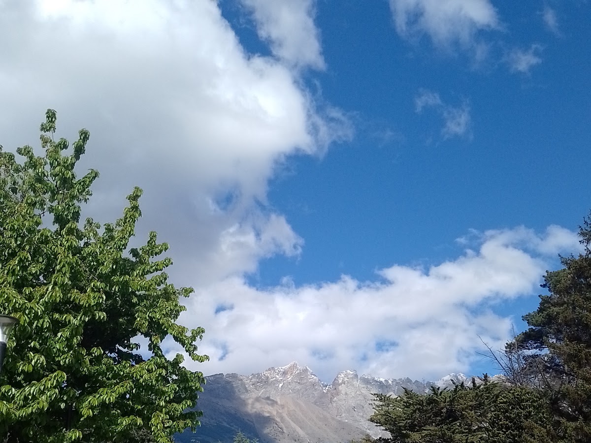 Foto compartida por Adriana Crespin