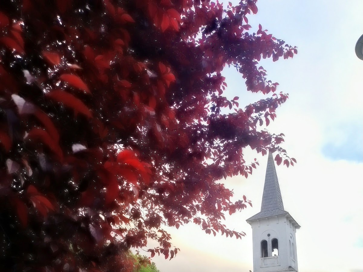Foto compartida por Adriana Crespin