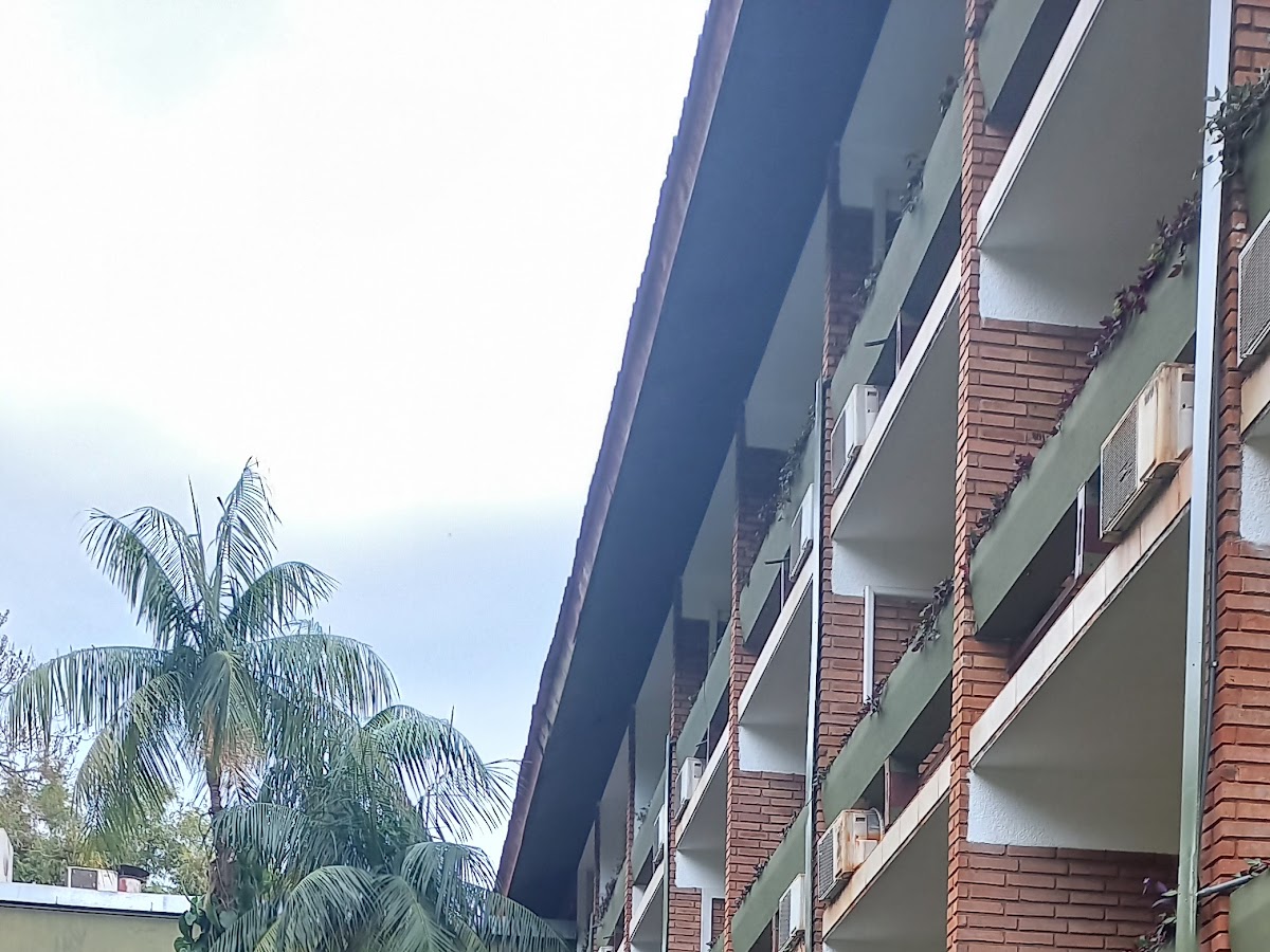 Foto compartida por VERONICA LOPEZ