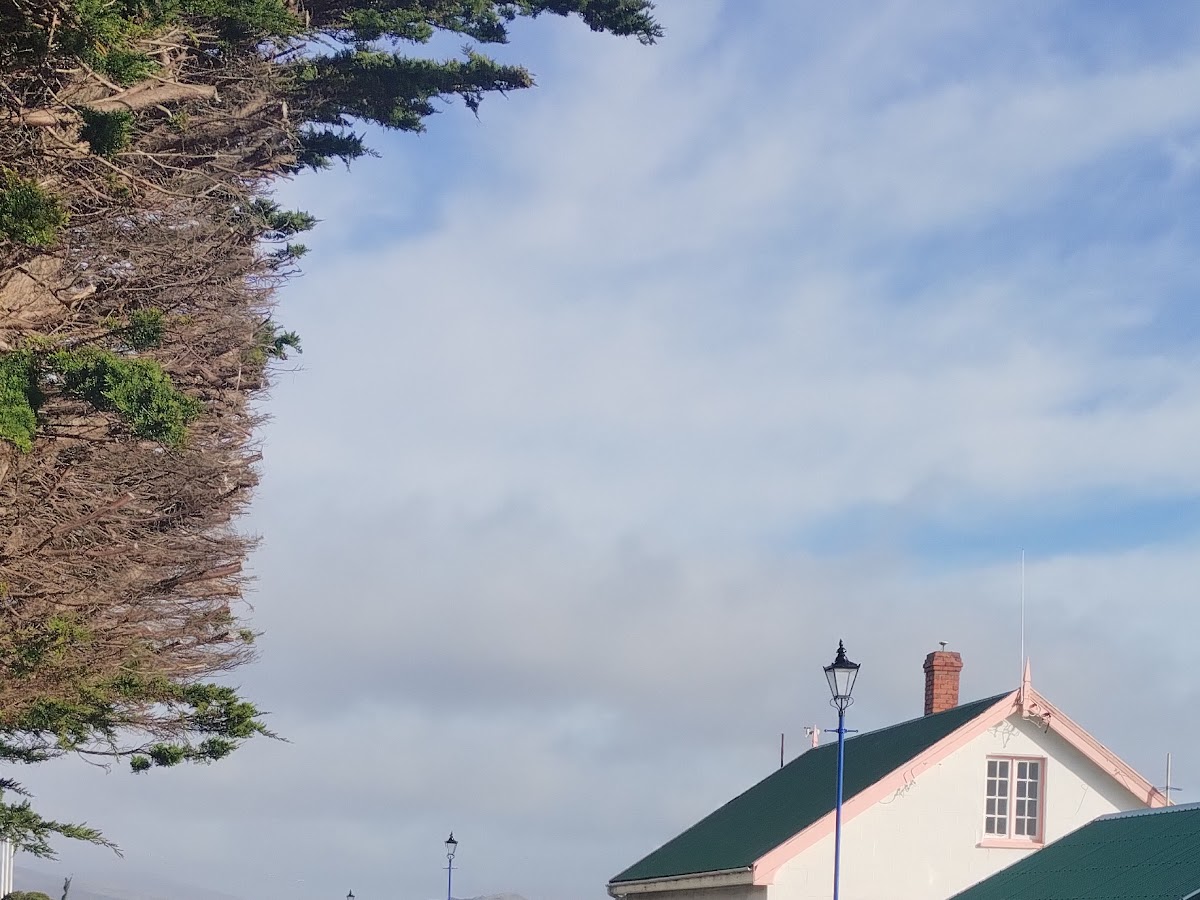 Foto compartida por María Rosa Gonzalez