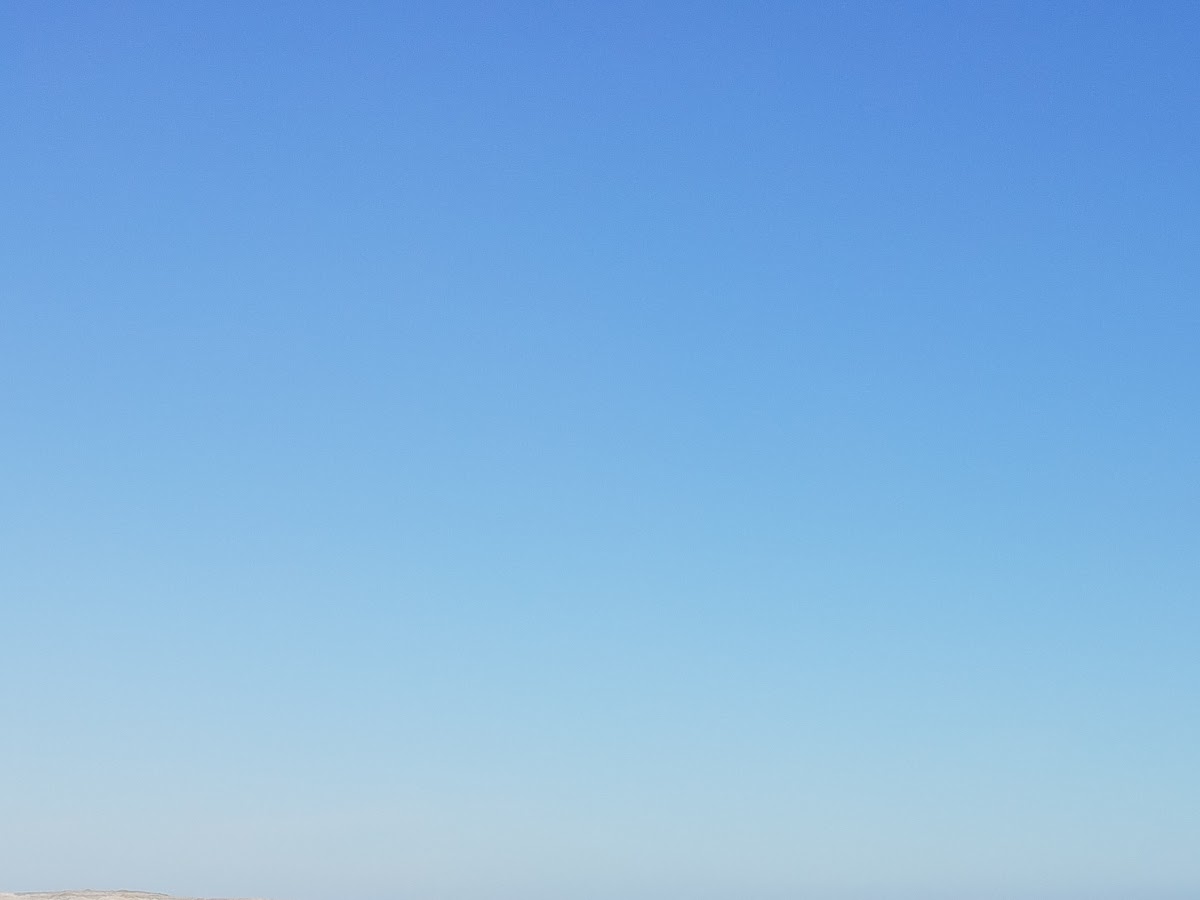 Foto compartida por María Rosa Gonzalez