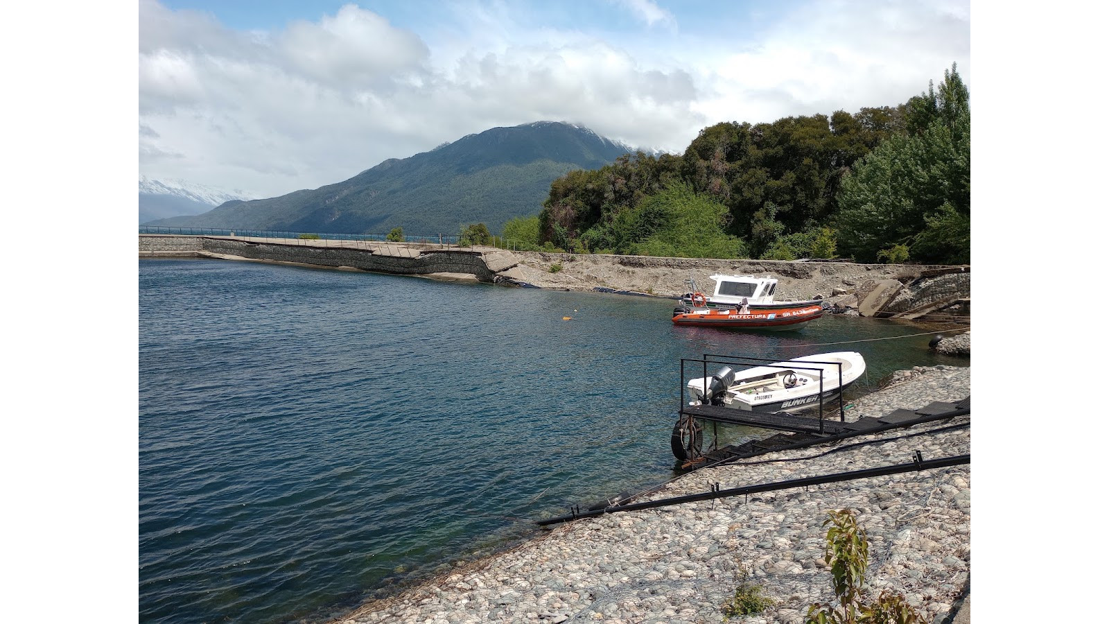 Liliana Agrasar